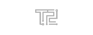 T2